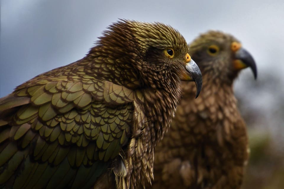 Ukraine: attacks disrupt heating as temperatures fall